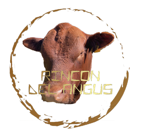 Rincondelangusfotolog1